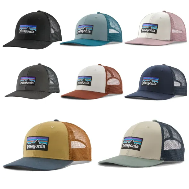 Patagonia P-6 Logo Trucker Hat