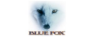 Blue Fox