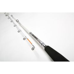 Daiwa Accudepth Trolling