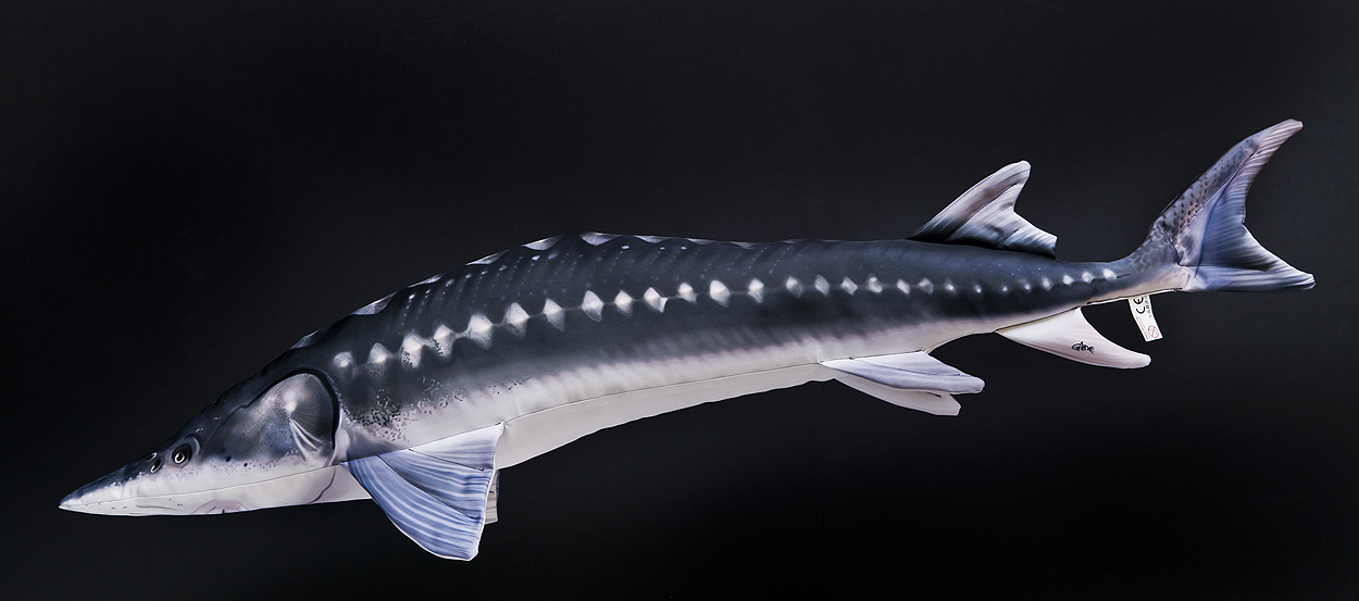 Gaby Stør - tøjdyr Monster - Fiskebamser og Trofæer
