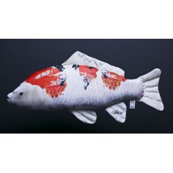 Gaby Koi Karpe - tjdyr