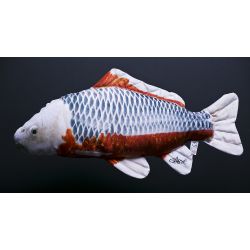 Gaby Koi Karpe - tjdyr