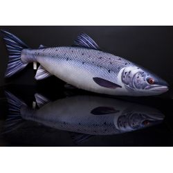 Gaby Atlantisk Laks - tjdyr