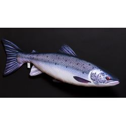 Gaby Atlantisk Laks - tjdyr