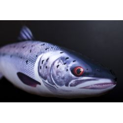 Gaby Atlantisk Laks - tjdyr