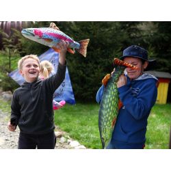 Gaby Regnbuerred - tjdyr