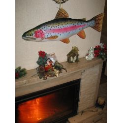 Gaby Regnbuerred - tjdyr