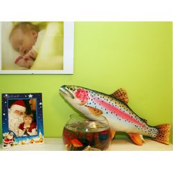 Gaby Regnbuerred - tjdyr