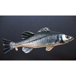 Gaby Havbars - tjdyr