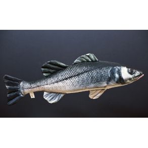 Gaby Havbars - tjdyr