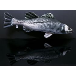 Gaby Havbars - tjdyr