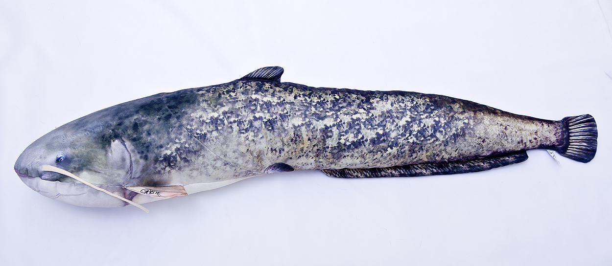 Gaby Malle - tøjdyr Giant - Fiskebamser og Trofæer