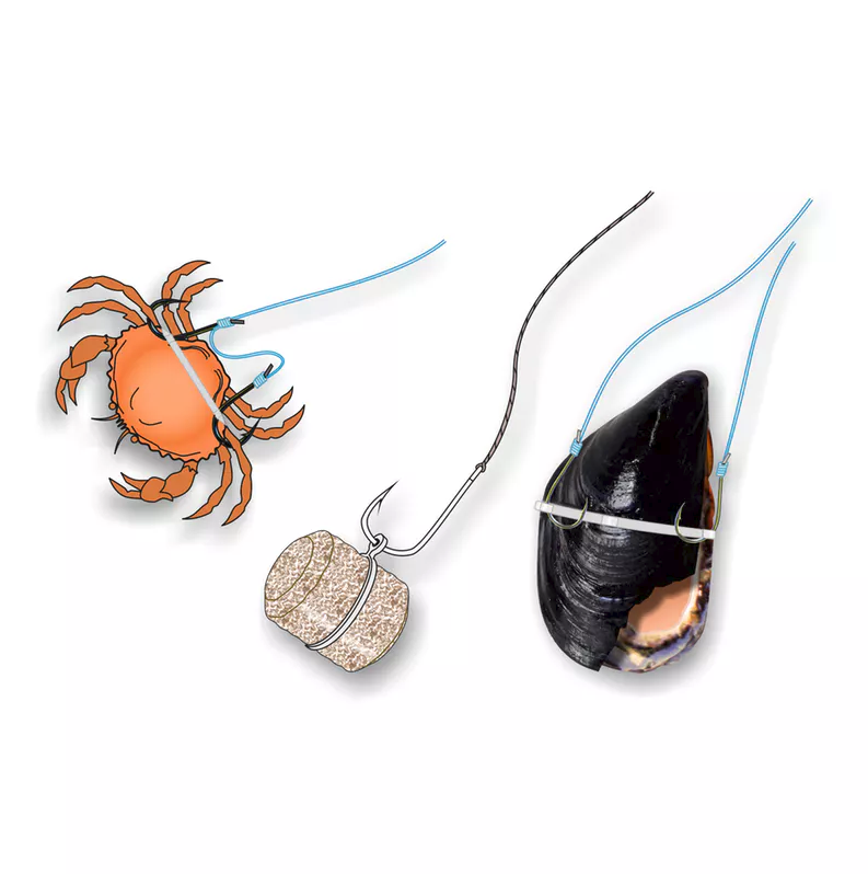 Stonfo Bait Bands - Accessories